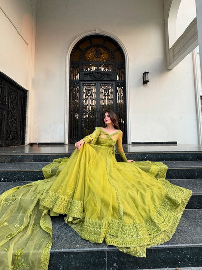 Designer Kediya Style Lehenga Set – Butterfly Net